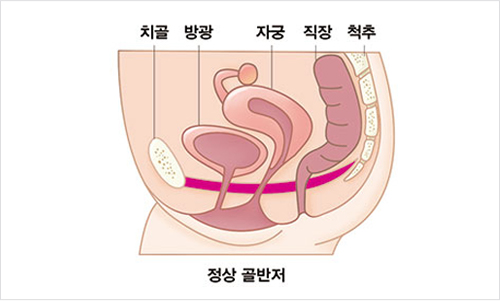 웰니스병원